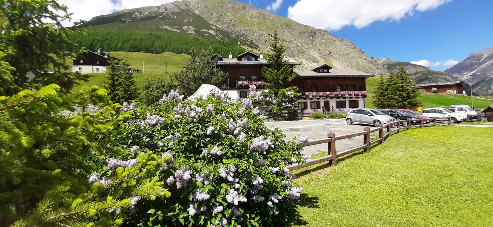 Chalet Del Sole Per Gruppi Livigno Zewnętrze zdjęcie