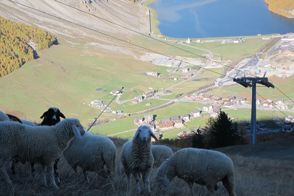 Chalet Del Sole Per Gruppi Livigno Zewnętrze zdjęcie